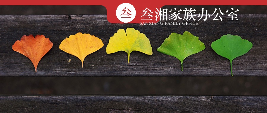 财富洞察