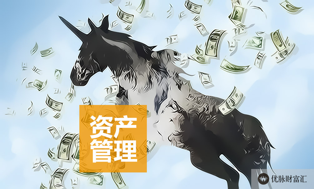 财富洞察