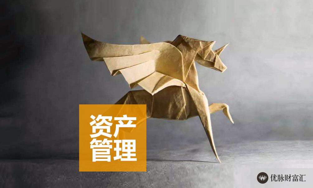 财富洞察