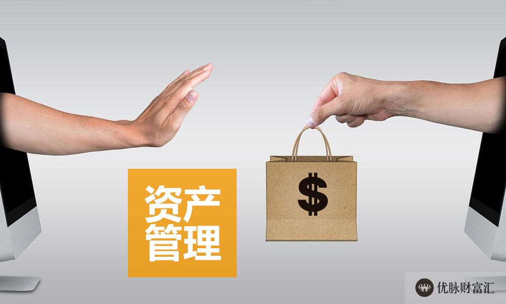 财富洞察
