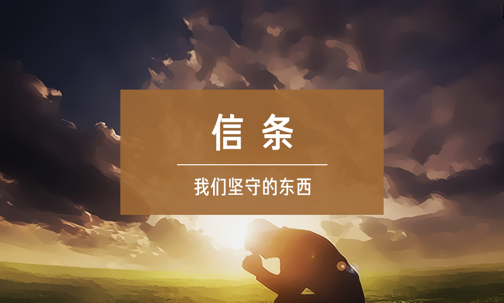 财富洞察