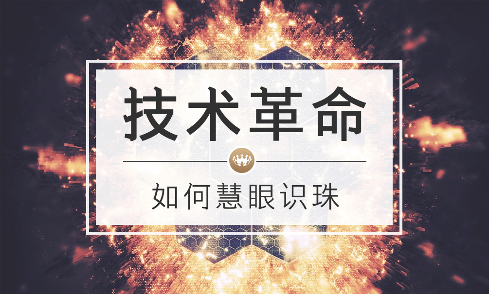 财富洞察