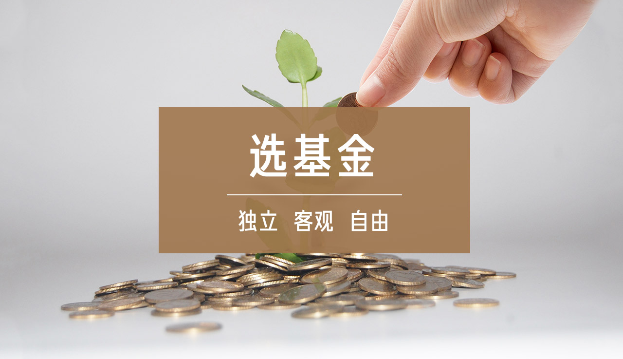财富洞察