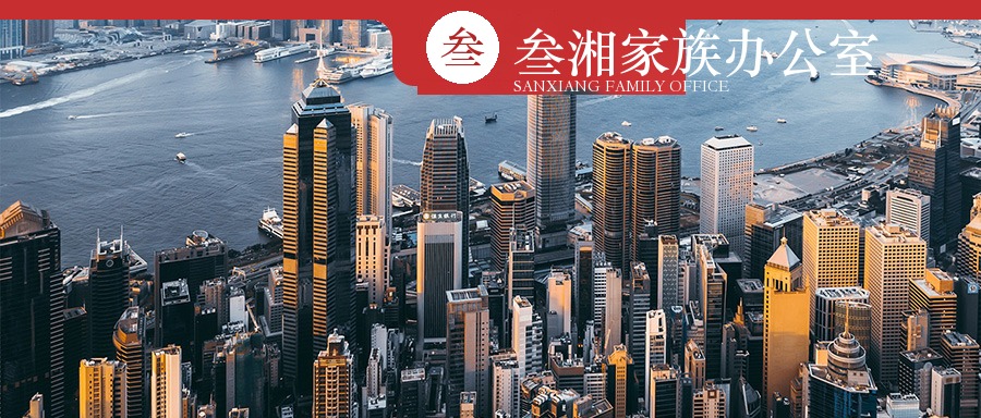 财富洞察