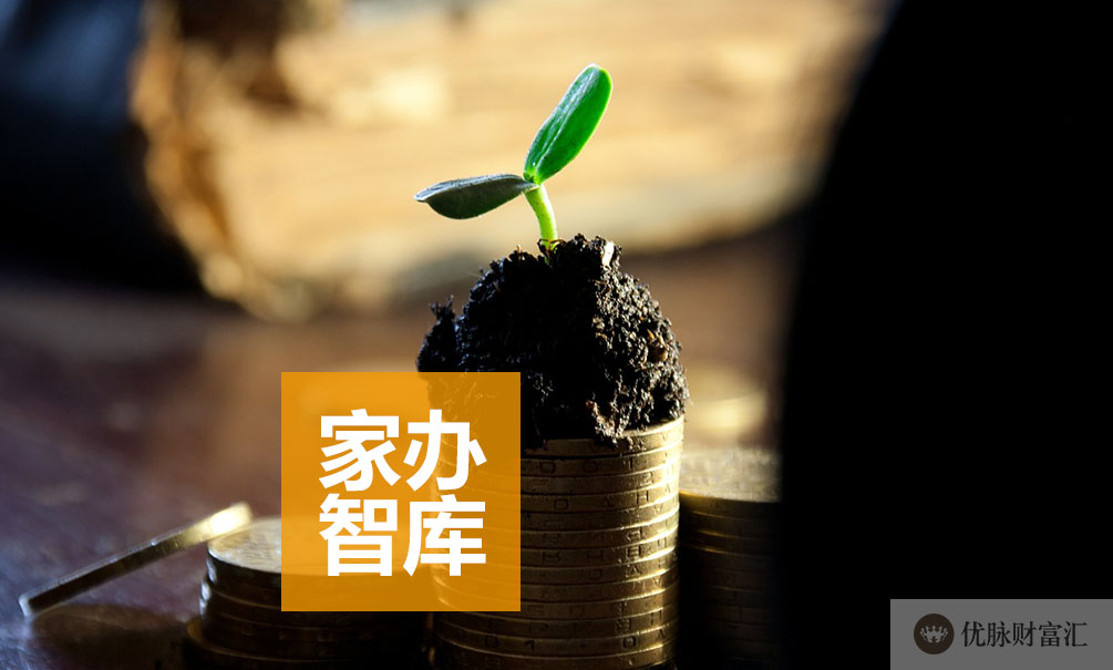 财富洞察