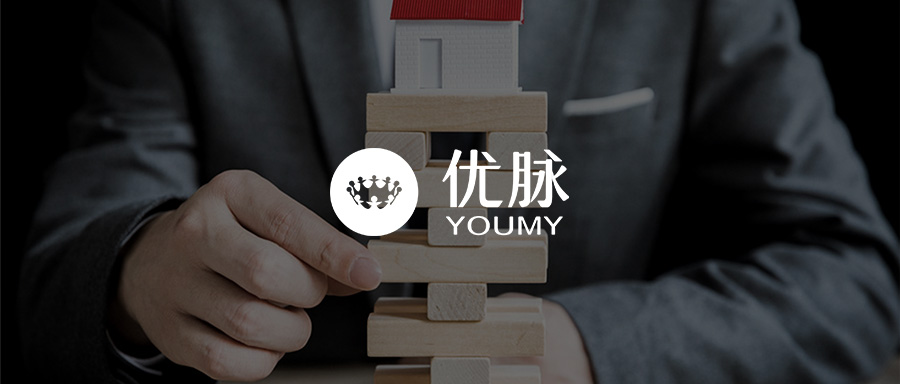 财富洞察