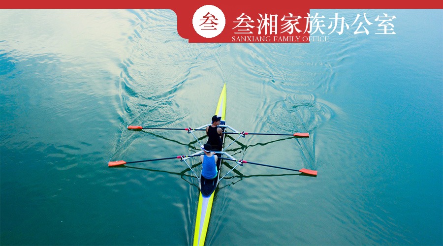 财富洞察