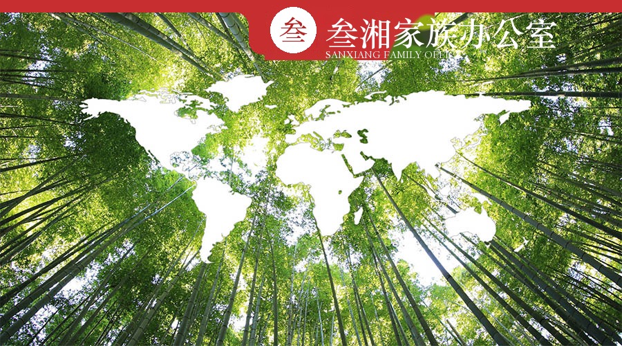 财富洞察