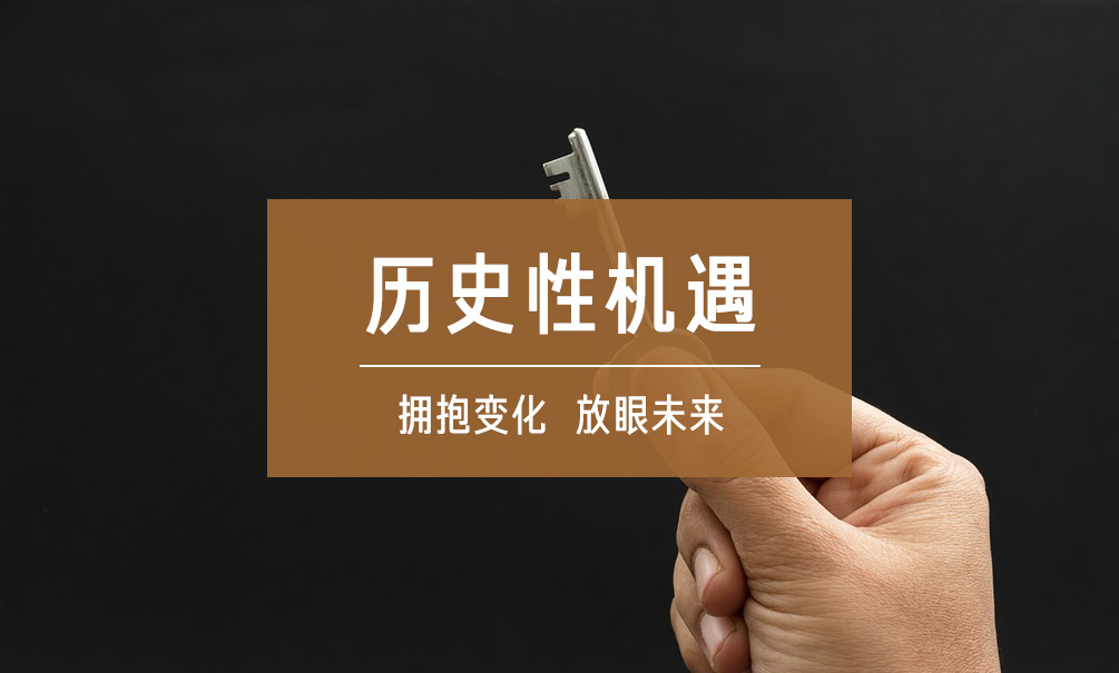 财富洞察