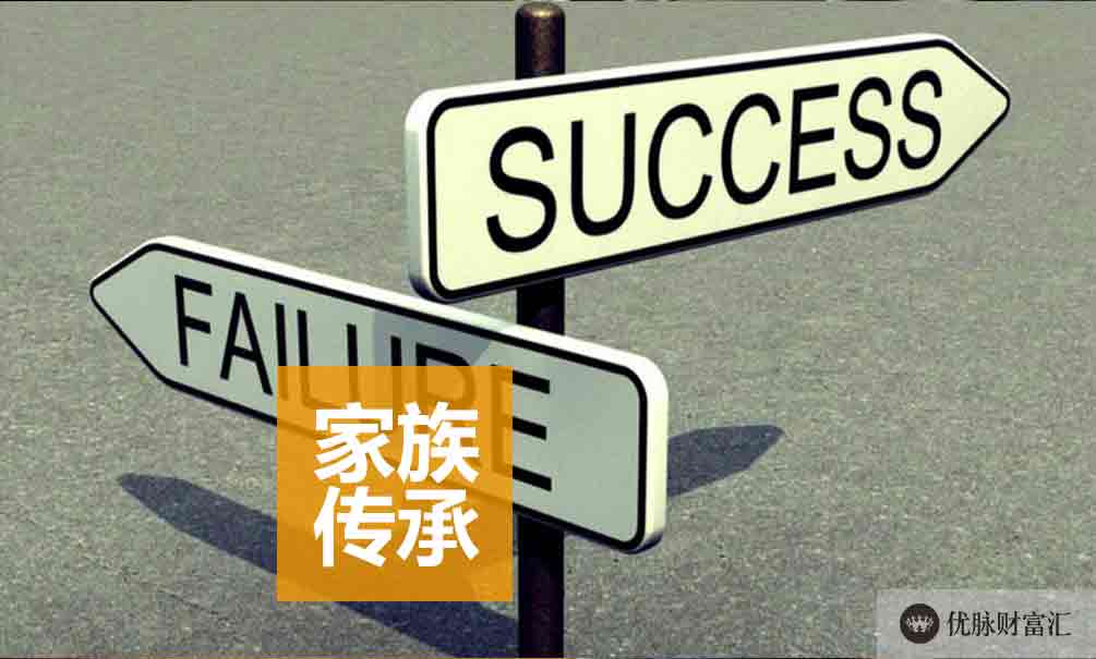 财富洞察