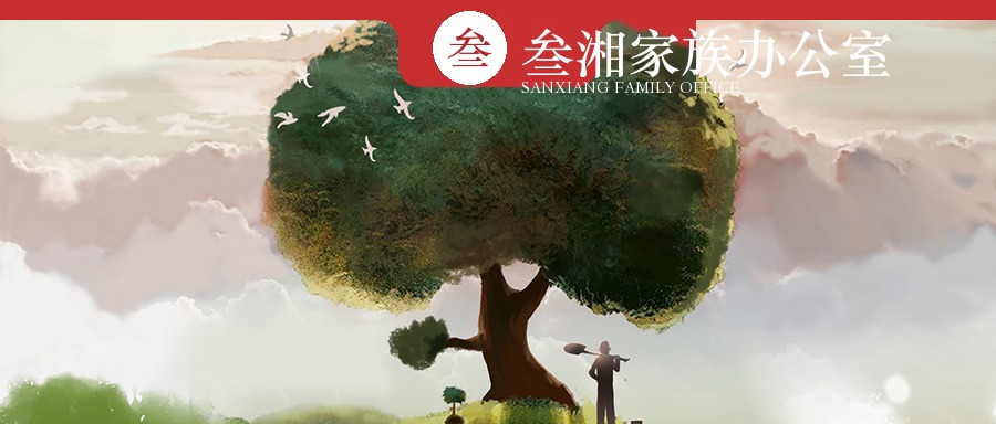 财富洞察