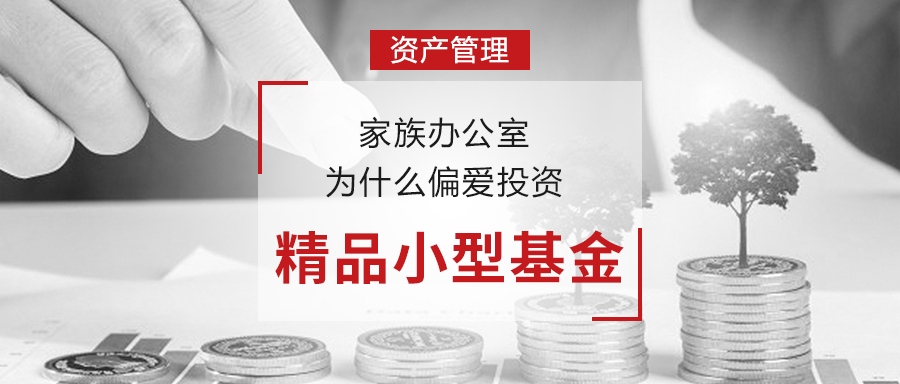 财富洞察