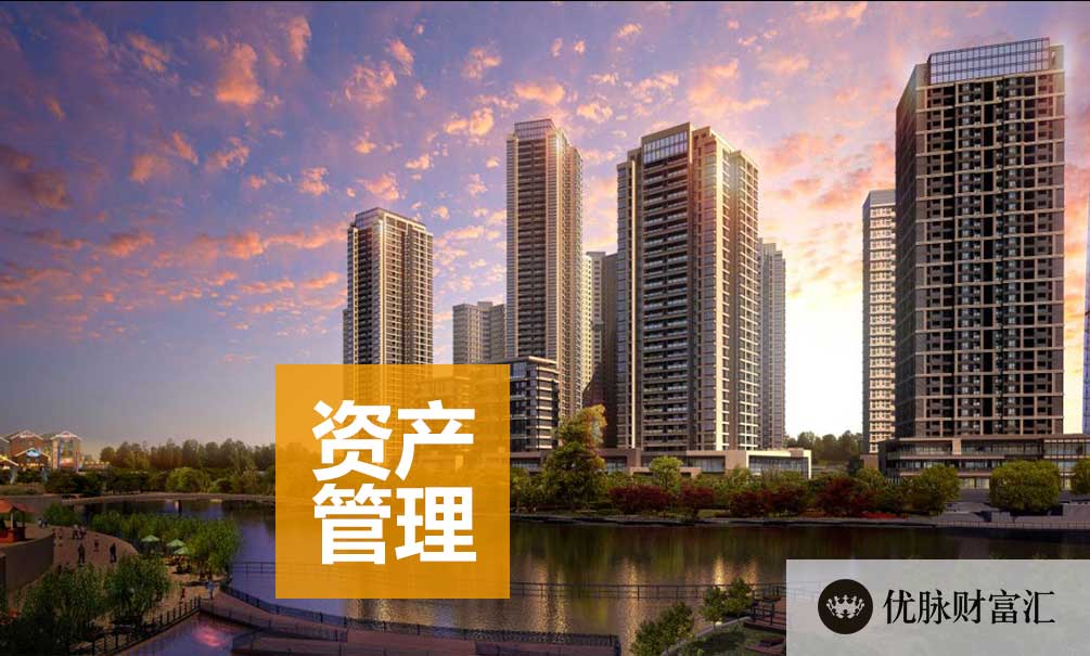 财富洞察