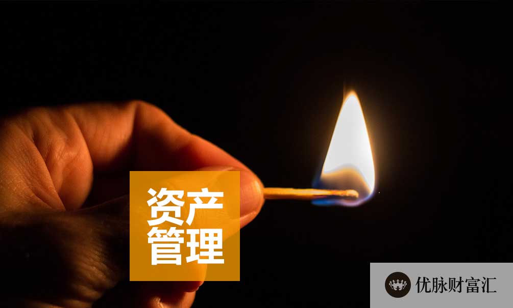 财富洞察