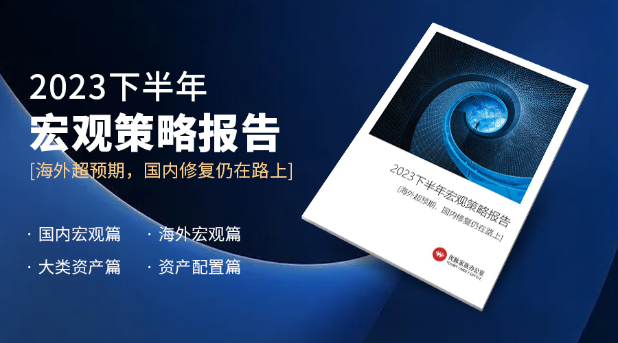 财富洞察