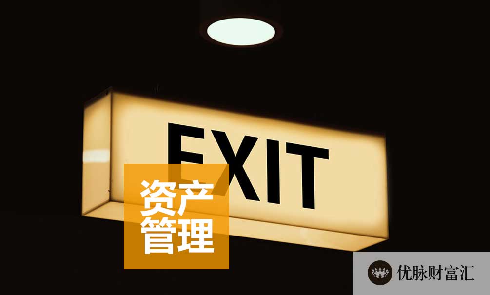 财富洞察