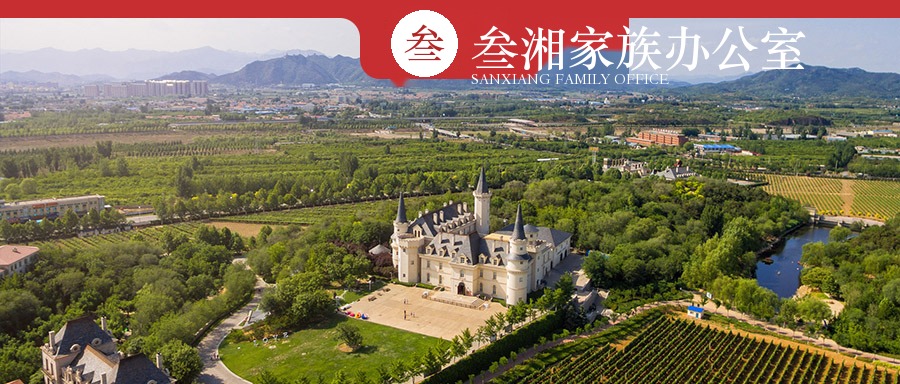 财富洞察