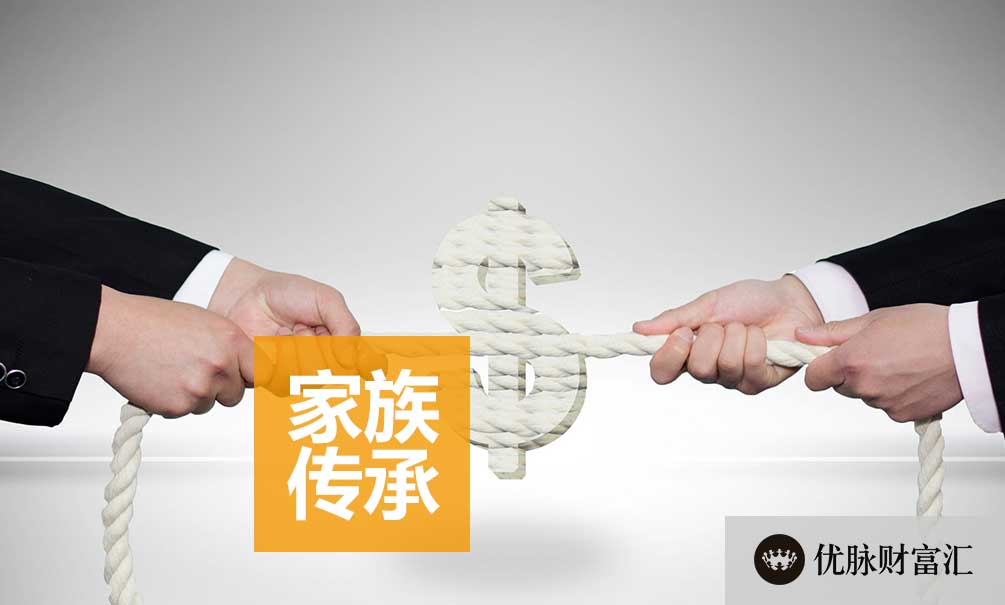 财富洞察