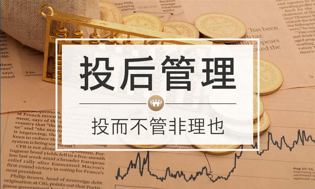 财富洞察