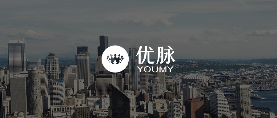 财富洞察