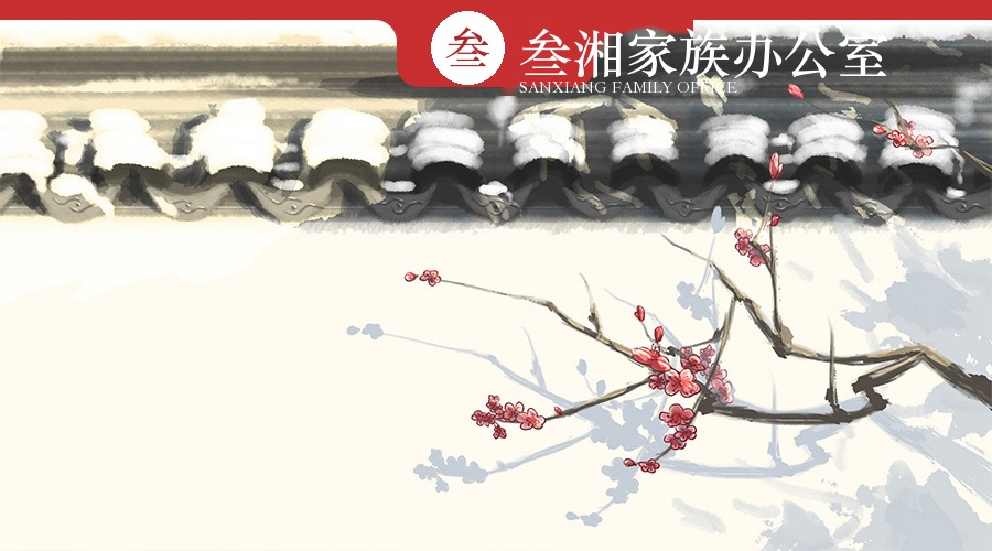 财富洞察