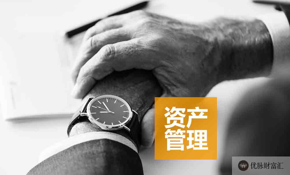 财富洞察